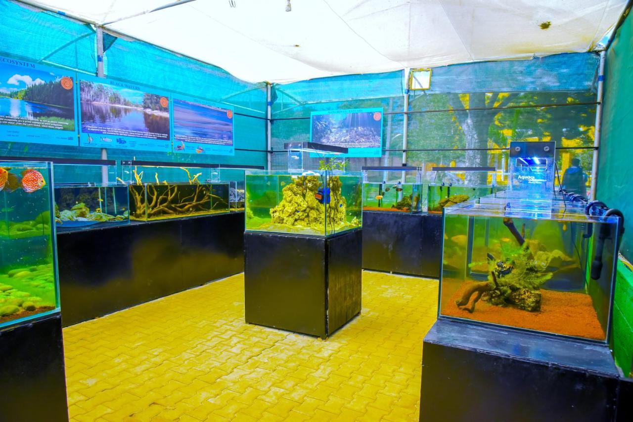 Fundera Aqua Stay Yelagiri Zewnętrze zdjęcie
